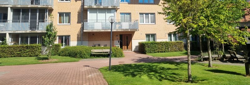 I bakgrunden syns del av fastighetens gula tegelfasad. I förgrunden syns gräsmatta, träd och plattlagd gång.