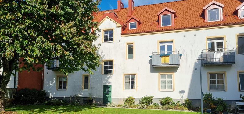 Fastighet i tre våningar med vitputsad fasad, balkonger mot grönskande innergård med stort träd i förgrunden.
