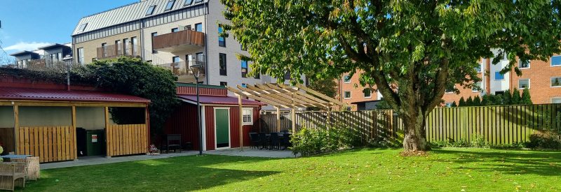 Gasverksgatan 19/Vaktgatan 16/18:s innergård med skjul för cyklar och avfallhantering i tryckt trä, falurött trädgårdsförråd, uteplats under pergola samt stort körsbärsträd.