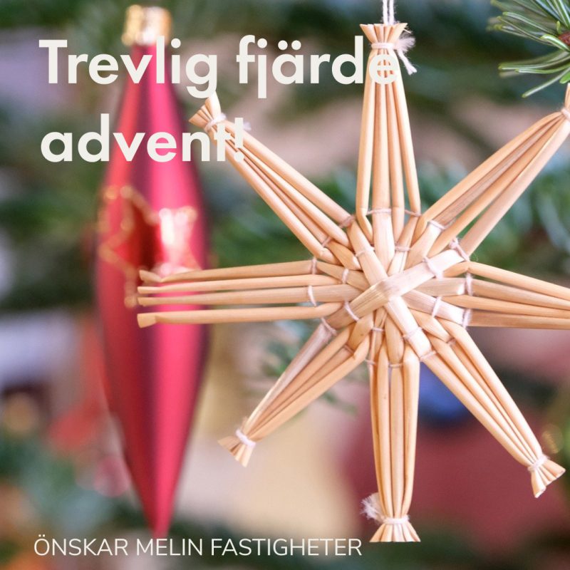 Närbild på julgranspynt i halm, formad som en stjärna.