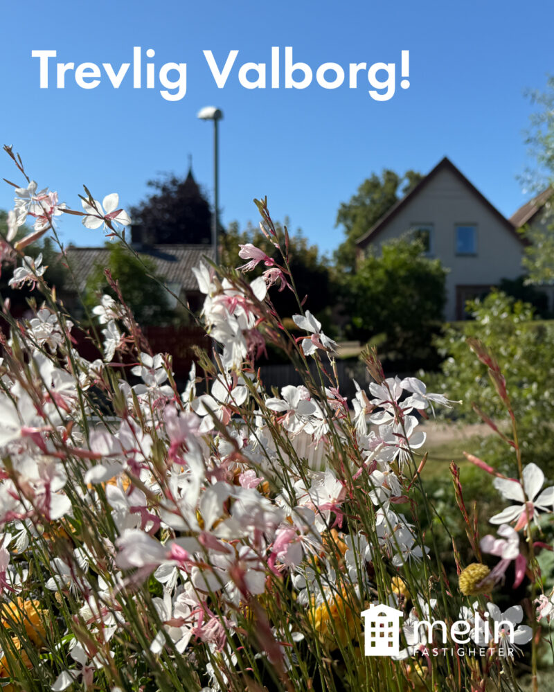 Närbild på blommor med blå himmel och en husgavel i bakgrunden. Texten: Trevlig Valborg och logga med hus och texten Melin Fastigheter.